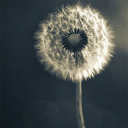 دانلود آهنگ غم‌ روزگار علی رزاقی